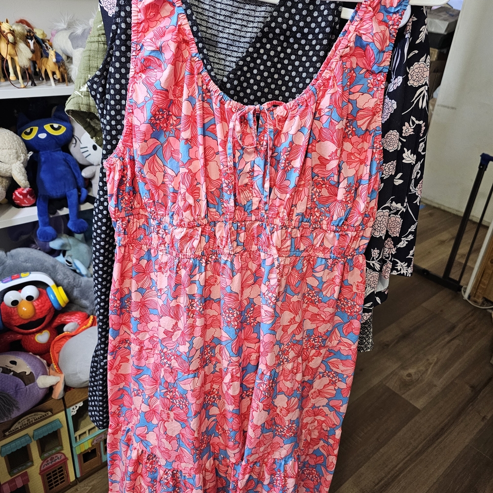 GAP Floral Pink and Blue Dress